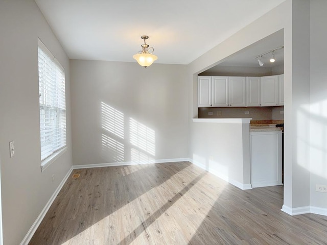 interior space featuring a healthy amount of sunlight, light wood-type flooring, and track lighting