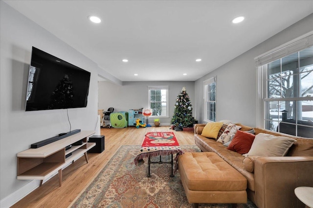 living room featuring wood-type flooring