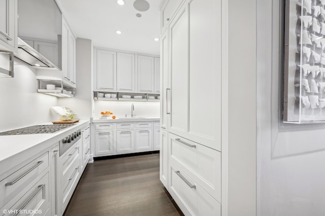 kitchen with white cabinets, dark wood-style floors, light countertops, a sink, and recessed lighting