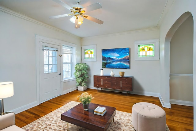 living room featuring wood-type flooring, ceiling fan, and ornamental molding