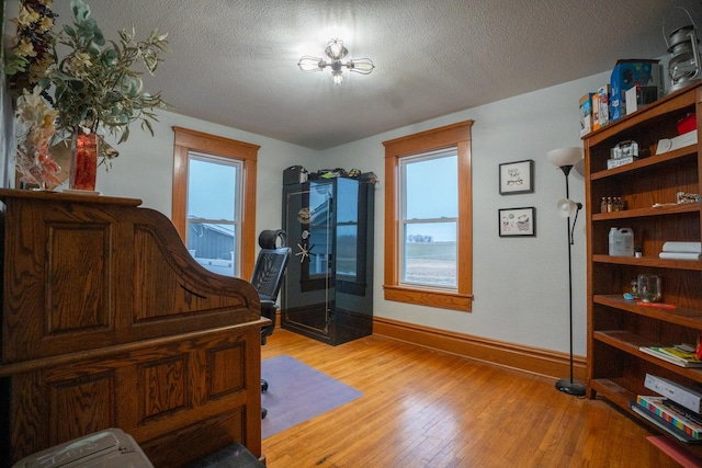 interior space featuring multiple windows, a textured ceiling, and light wood-type flooring