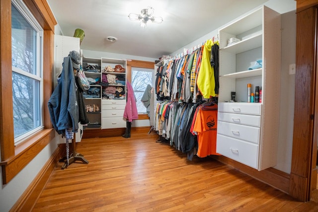 walk in closet with light hardwood / wood-style floors