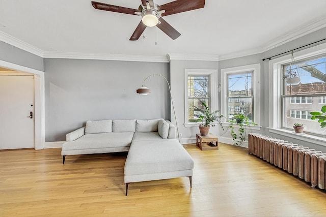 living room with light hardwood / wood-style flooring, radiator heating unit, ornamental molding, and ceiling fan