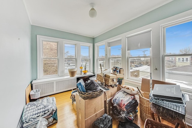 sunroom featuring plenty of natural light and radiator