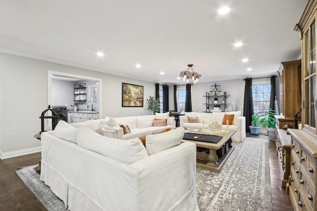 living room with sink, dark wood-type flooring, crown molding, and plenty of natural light