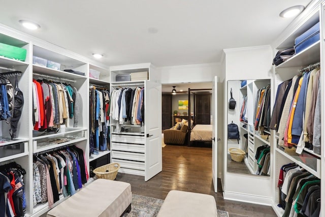 spacious closet featuring dark wood-type flooring