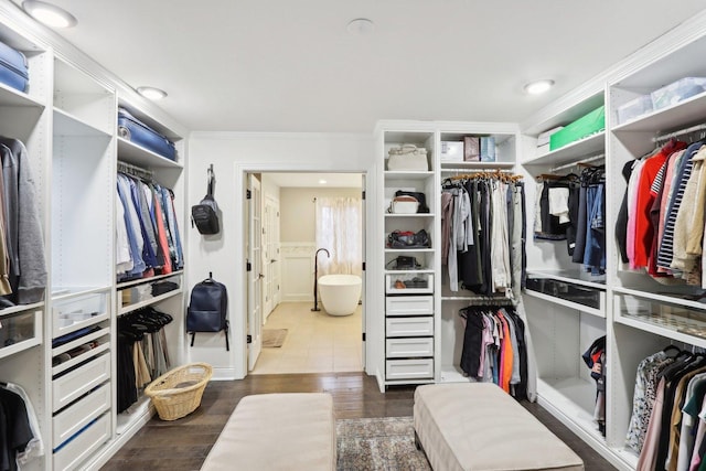 walk in closet with dark hardwood / wood-style floors