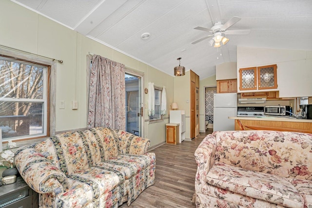 living room with vaulted ceiling, ceiling fan, and wood-type flooring