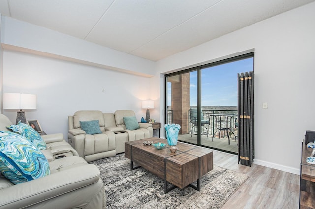 living room with light hardwood / wood-style flooring