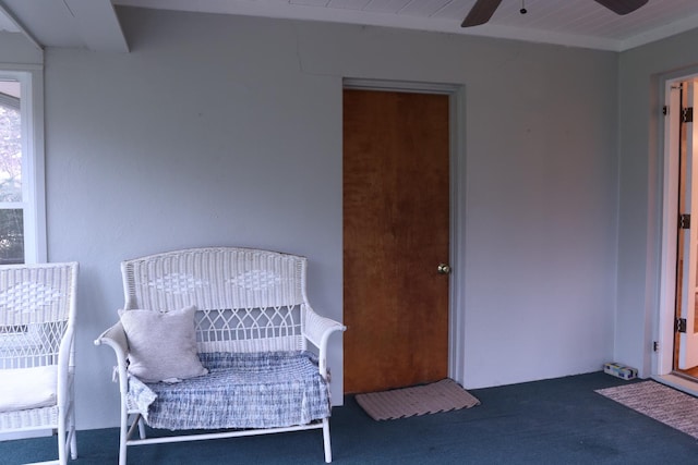 bedroom with ceiling fan and dark carpet