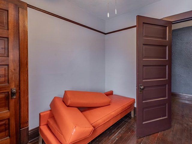 living area featuring dark wood-type flooring