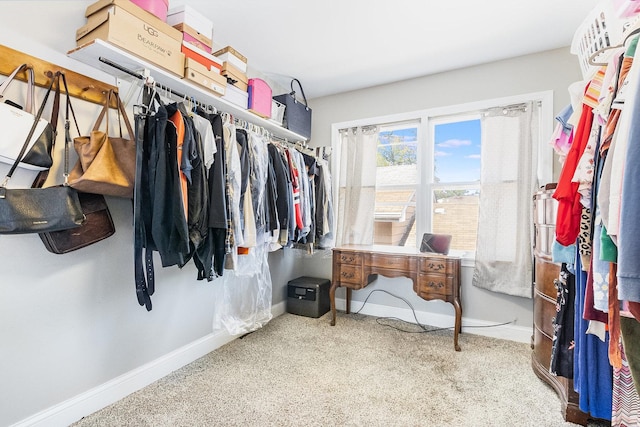 view of walk in closet