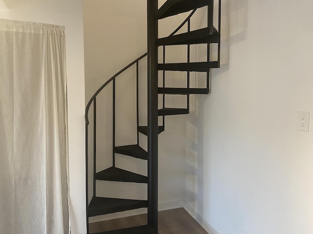 staircase featuring wood-type flooring