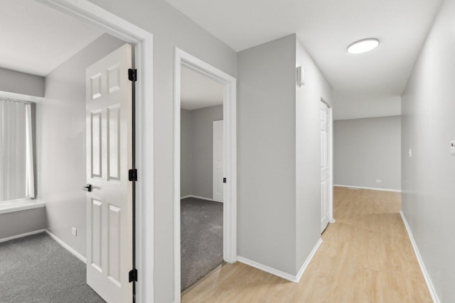 hall featuring light hardwood / wood-style floors