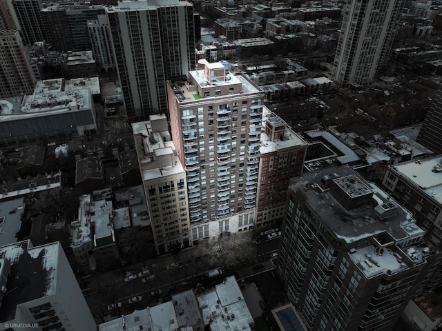 1250 N Dearborn St Unit 5B, Chicago, IL 60610 - photo 2