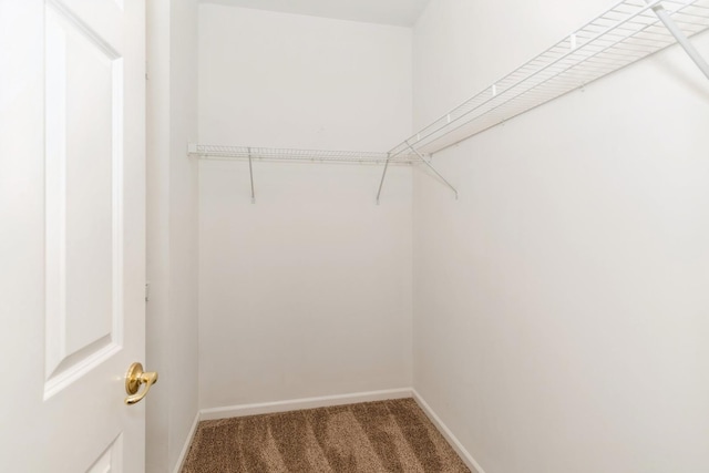 walk in closet featuring carpet