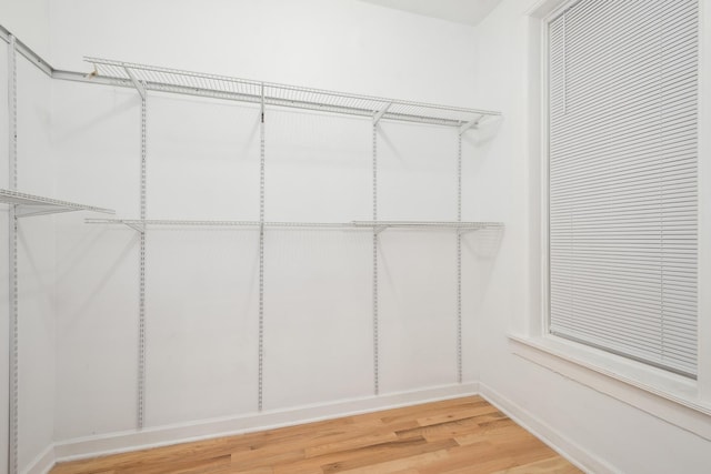 spacious closet featuring wood-type flooring