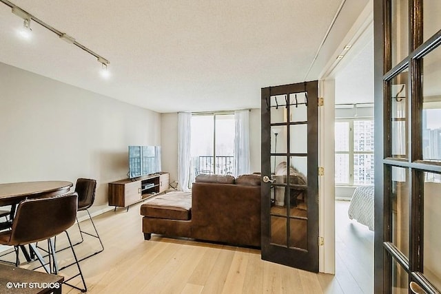 living room with french doors and light wood-type flooring