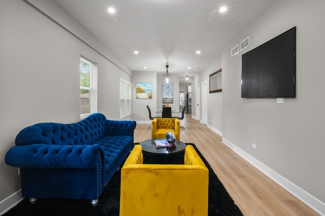 living room featuring wood-type flooring