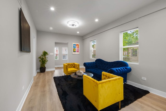 living room featuring light wood-type flooring