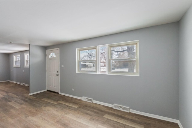 entrance foyer featuring wood-type flooring