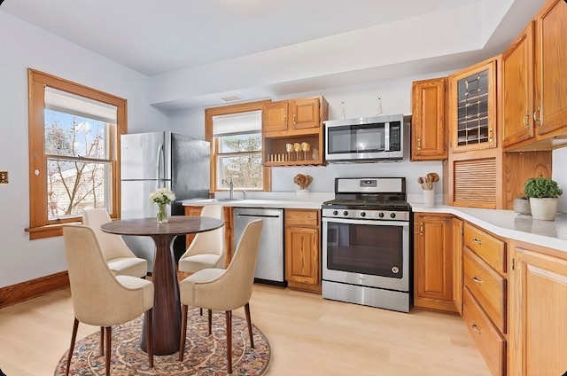 kitchen featuring appliances with stainless steel finishes, light hardwood / wood-style floors, and plenty of natural light