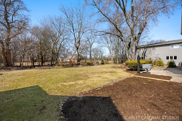 view of yard featuring a patio