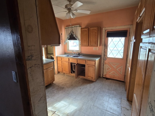 kitchen featuring ceiling fan and sink