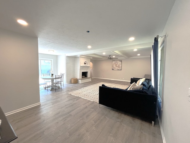 living room with a fireplace and hardwood / wood-style flooring