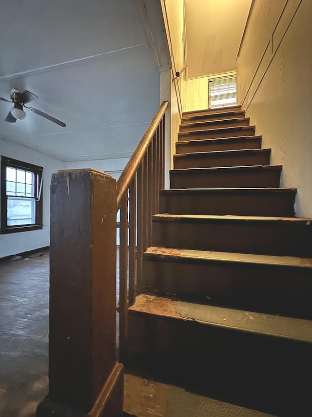 stairs with ceiling fan