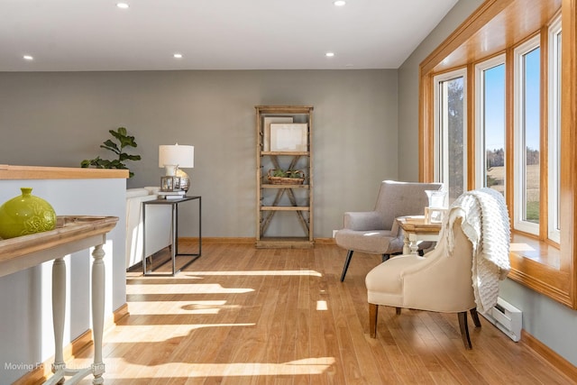 living area featuring light hardwood / wood-style floors and plenty of natural light