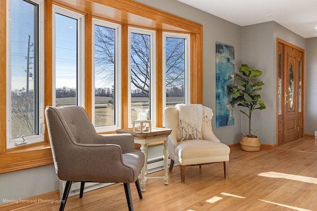 sitting room with light wood-type flooring and plenty of natural light