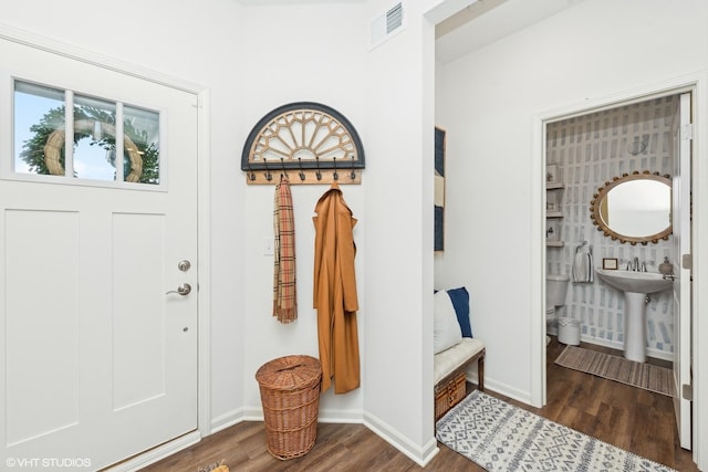 foyer with dark wood-type flooring and sink