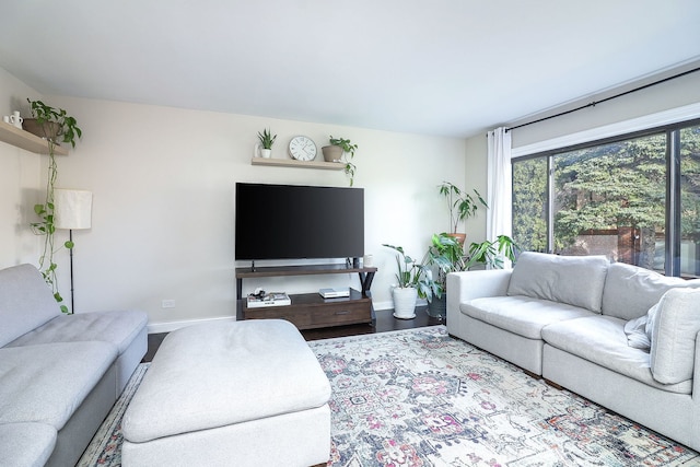 living room with wood-type flooring