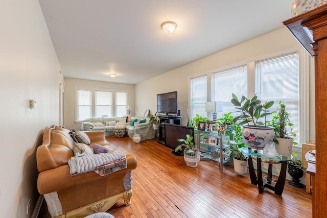 living room featuring plenty of natural light and light hardwood / wood-style flooring