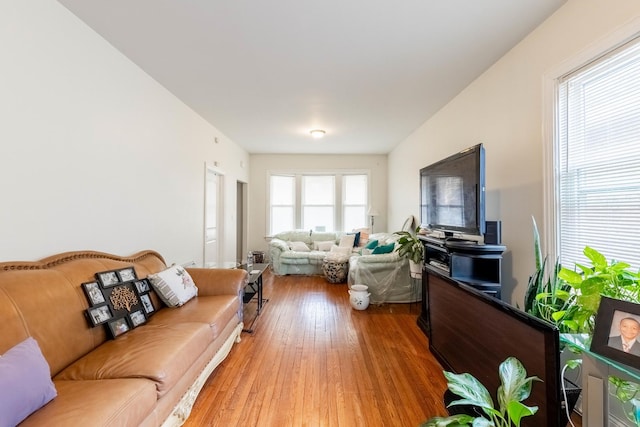 living room with hardwood / wood-style flooring