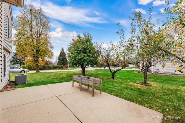 view of community featuring a yard and a patio