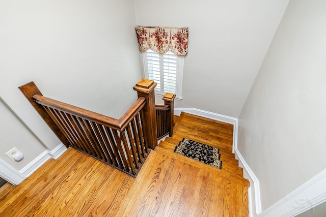 staircase with hardwood / wood-style flooring