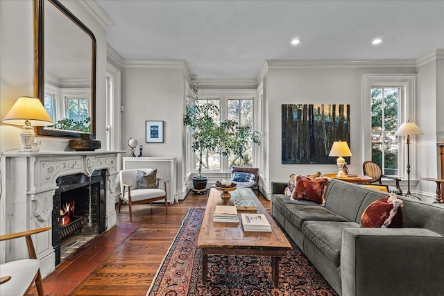 living room with crown molding, dark wood-type flooring, and plenty of natural light