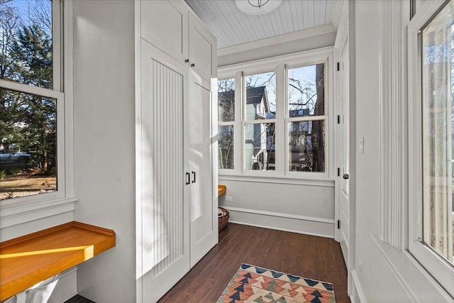 interior space featuring ornamental molding, plenty of natural light, and dark hardwood / wood-style flooring