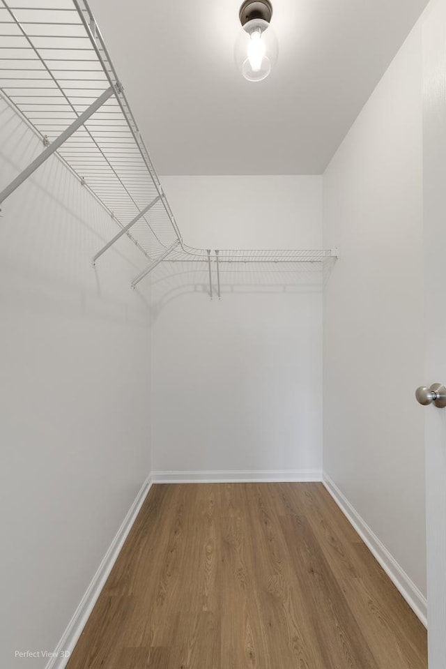 walk in closet featuring wood-type flooring