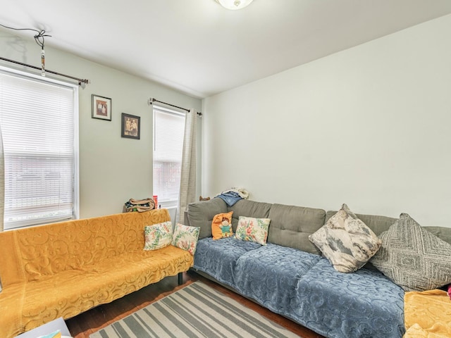 living room featuring hardwood / wood-style floors and a healthy amount of sunlight