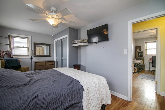 bedroom with hardwood / wood-style flooring and ceiling fan