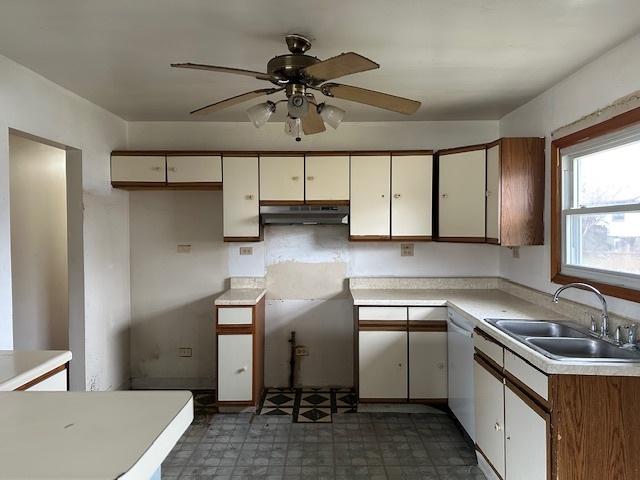 kitchen featuring white cabinets, ceiling fan, sink, and white dishwasher