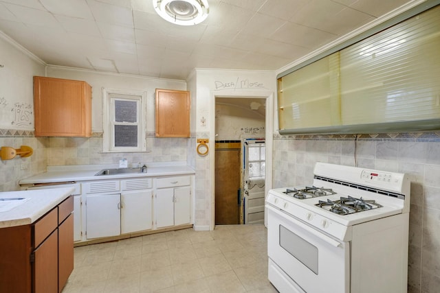 kitchen with sink, ornamental molding, and gas range gas stove