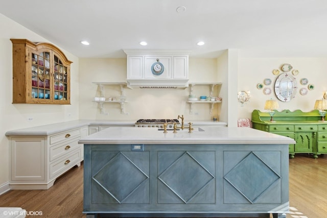 kitchen with white cabinetry, hardwood / wood-style flooring, and an island with sink