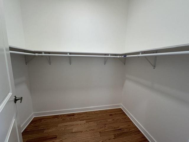 walk in closet with dark hardwood / wood-style flooring