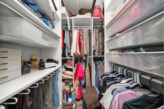 view of walk in closet