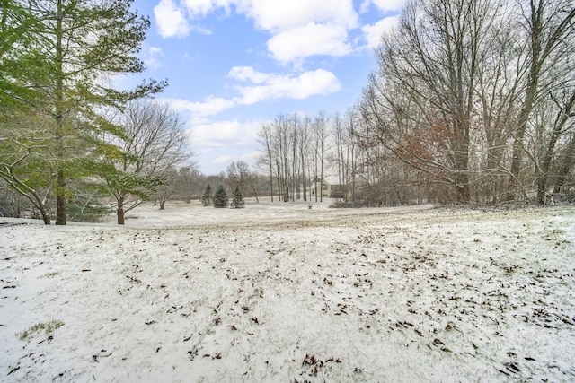 view of yard layered in snow