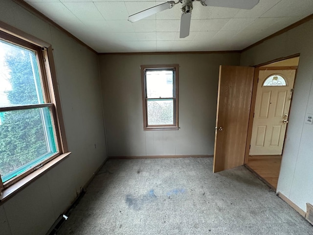 carpeted empty room with ceiling fan and ornamental molding